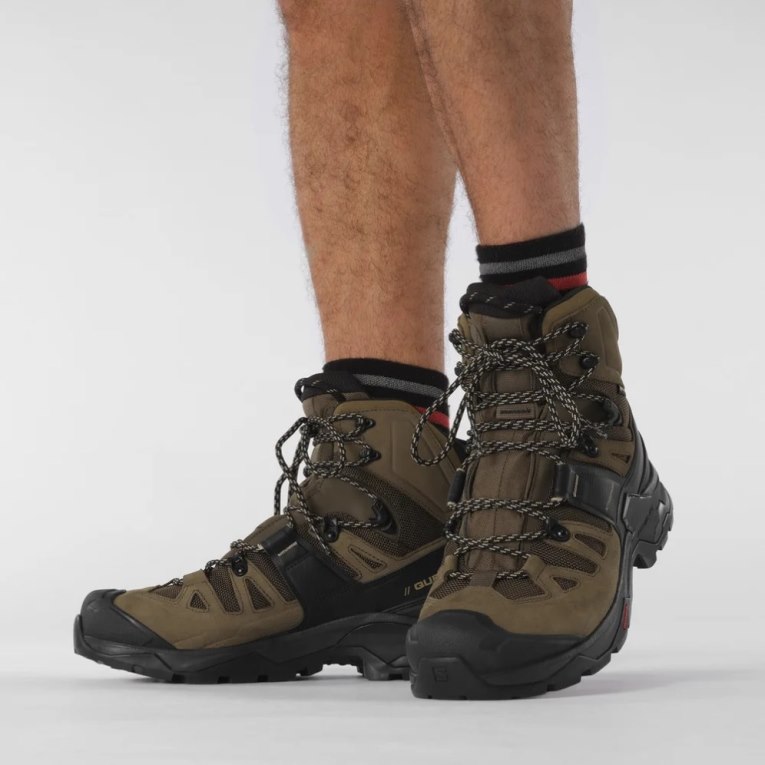 Botas Montaña Salomon Quest 4 GTX Hombre Verde Oliva | MX LOYU192